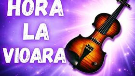 MIXAJ MUZICA POPULARA - HORA MARE LA VIOARA X HORA DE JOC NUNTA