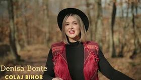 Denisa Bonte - Colaj Bihor