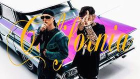 M.G.L. x RAVA - CALIFORNIA
