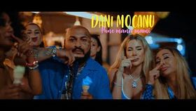 DANI MOCANU - PUNE MANA MAMI