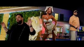 FLORIN SALAM SI LEO DE VIS - DACA IUBESTI O TIGANCA