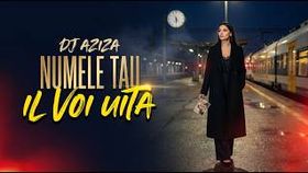 Dj Aziza - Numele Tau Il Voi Uita