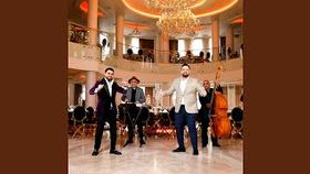 BABOIASH SI GEORGE TALENT - BALADA LUI ZDREANTA, HAM