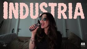 Ada Petcu - Industria