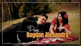 Bogdan Alexandru - Pruna