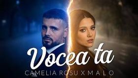 Camelia Rosu x Malo - Vocea Ta