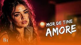 Mi-Ai Dat Seen x Amore - Ziua Nu, Noaptea Da