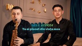 Nelu Popa & Oprita De La Blaj - Tu Ai Plecat Din Viata Mea Hit 2026