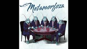 Paulina - Metamorfoza