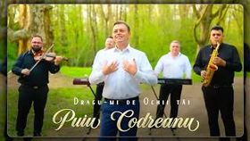 Puiu Codreanu - Dragu-mi De Ochii Tai