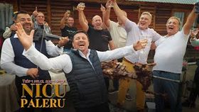 NICU PALERU - VINU-I DULCE, OAIA-I GRASA