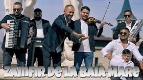 ZAMFIR DE LA BAIA MARE - ARE TATA BANI BUGATI