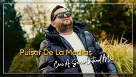 Puisor De La Medias - Cine A Scris Destinul Meu