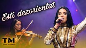 Esti Dezorientat - Sonia Si Taraful Lui Mafian (Colaj Manele De Dragoste)