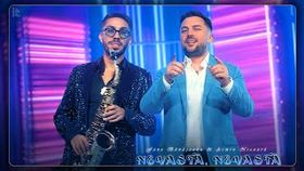 FANE BANATEANU SI ARMIN NICOARA - NEVASTA, NEVASTA