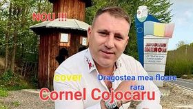 CORNEL COJOCARU - DRAGOSTEA MEA FLOARE RARA