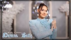 Denisa Botis - Te Iubesc, Te Pretuiesc
