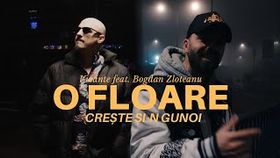 Vizante x Bogdan Zloteanu - O floare creste si-n gunoi