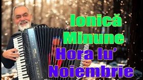 Ionica Minune - Hora Lui Noiembrie Live