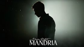 Florin Ristei - Mandria