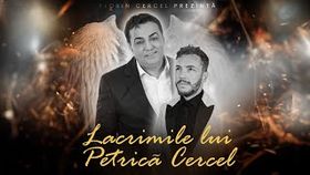 Florin Cercel - Lacrimile Lui Petrica Cercel