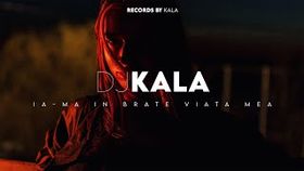Florin Salam - Ia-ma-n brate viata mea (Dj Kala Remix)