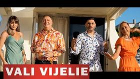 VALI VIJELIE SI COSTI DAMIAN - DANSEAZA CU MINE TOATA TARA