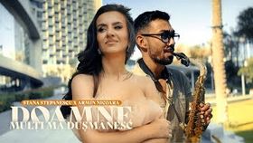 STANA STEPANESCU SI ARMIN NICOARA - DOAMNE MULTI MA DUSMANESC