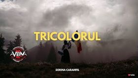 Sorina Caramfil - Tricolorul