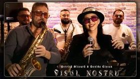 Denisa Ciocan & Petrica Nicoara - Visul Nostru