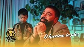 Florin Salam - O Lacrima In Plus
