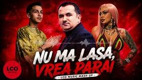 Ursaru x Badd G x Nek - Nu Ma Lasa, Vrea Parai ( Lco Mashup Remix )