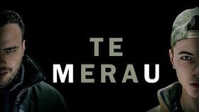 UDUBASA x MIRCEA EREMIA - TE MERAU