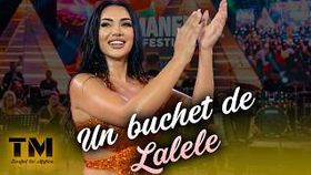 Un Buchet De Lalele - Sonia Si Taraful Lui Mafian 2026