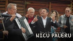 NICU PALERU - DAU CU TUICA, STING CU BERE