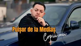 PUISOR DE LA MEDIAS - COPIII MEI