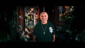 NICOLAE GUTA - UITE CINE