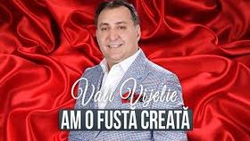 VALI VIJELIE - AM O FUSTA CREATA
