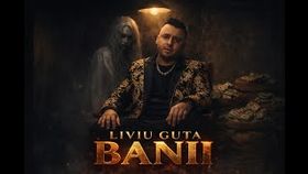 Liviu Guta - Banii