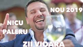 Nicu Paleru & Orchestra Fratilor Stefanet - Zii Vioara