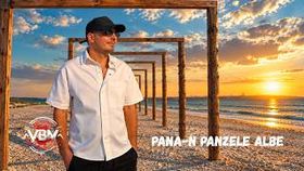 Valentin Tulica - Pana-n Panzele Albe