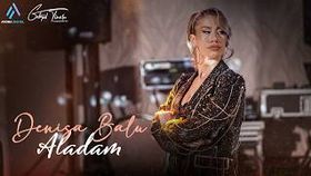 Denisa Balu & Nexus Band - Aladam (Live Cover)