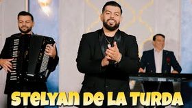 STELIAN DE LA TURDA - TINERETE