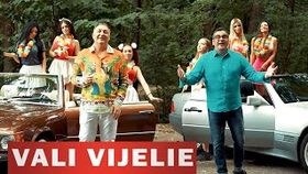 VALI VIJELIE SI STELU PANDELESCU - HAI IUBITO, HAI