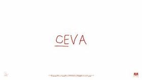 Ada Petcu - Ceva