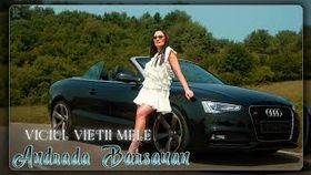 ANDRADA BARSAUAN - VICIUL VIETII MELE