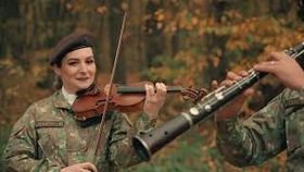 FRATII FERNEA CU FORMATIILE CLASIC SI ARGUS SM - HANUL MARIOAREI