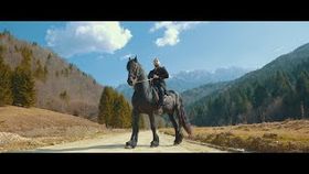TONI DE LA BRASOV - DOI CAI NEGRI