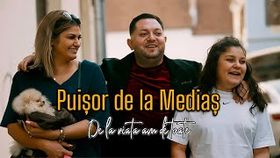 PUISOR DE LA MEDIAS - DE LA VIATA AM DE TOATE