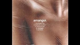 Raluka - Amangoi